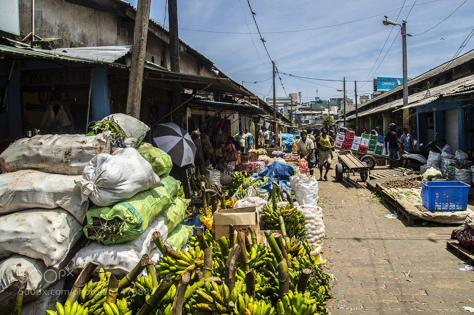 Canon EOS-1D X Mark II sample photo. Colombo photography