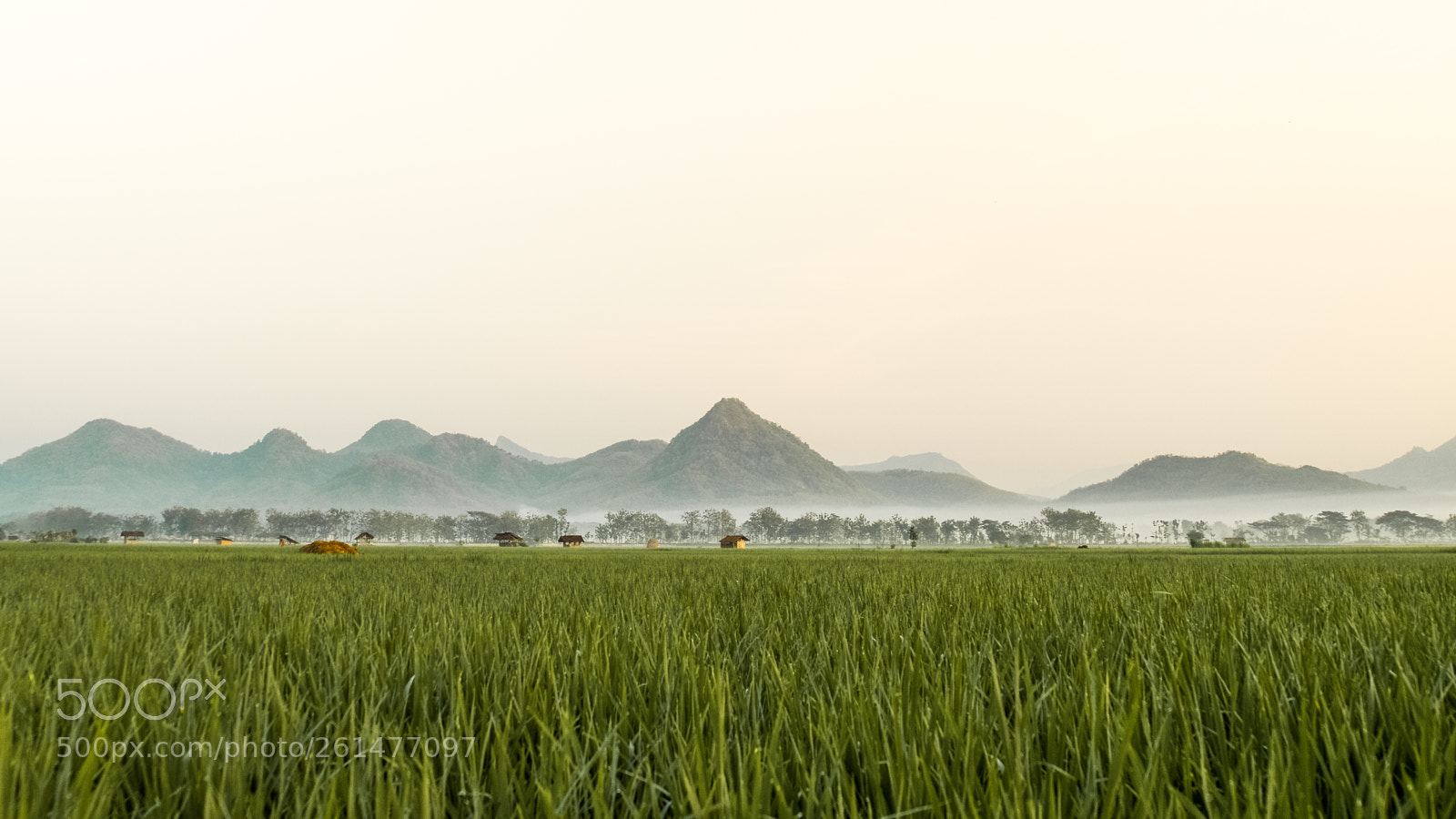 Sony a7 II sample photo. Another side of the photography