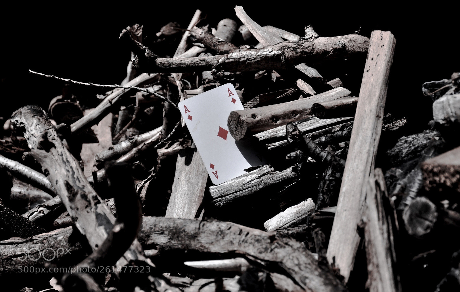 Nikon D90 sample photo. Woodland ace photography