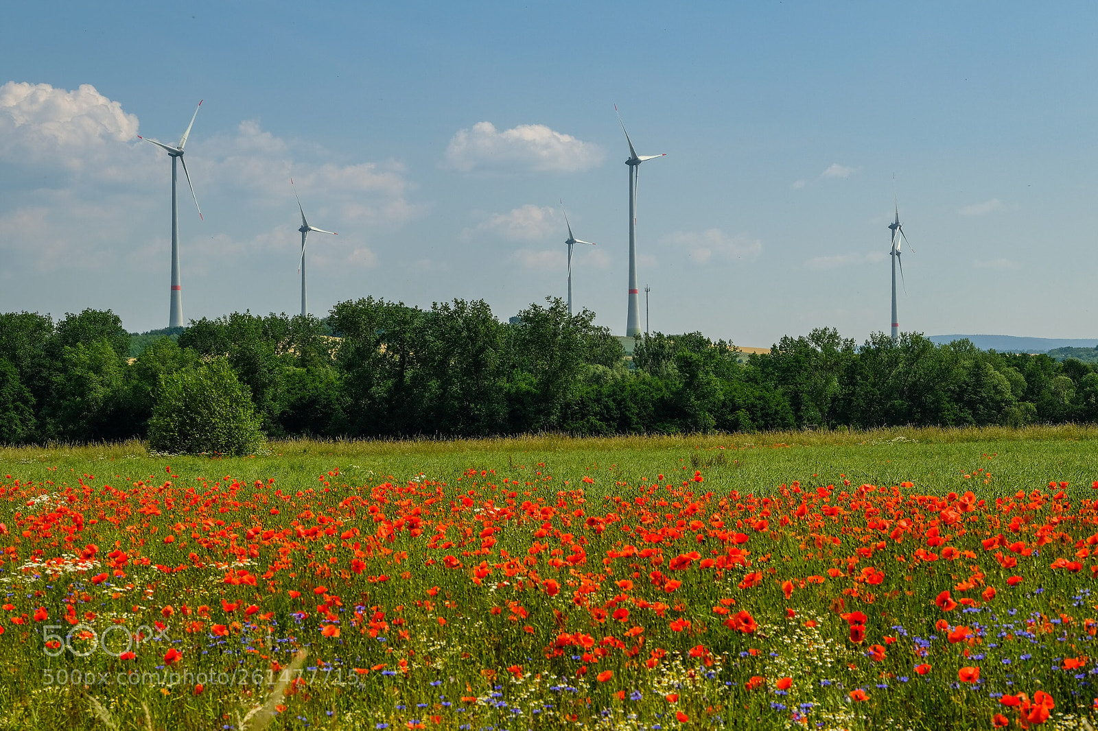 Fujifilm X-T2 sample photo. Windräder  photography