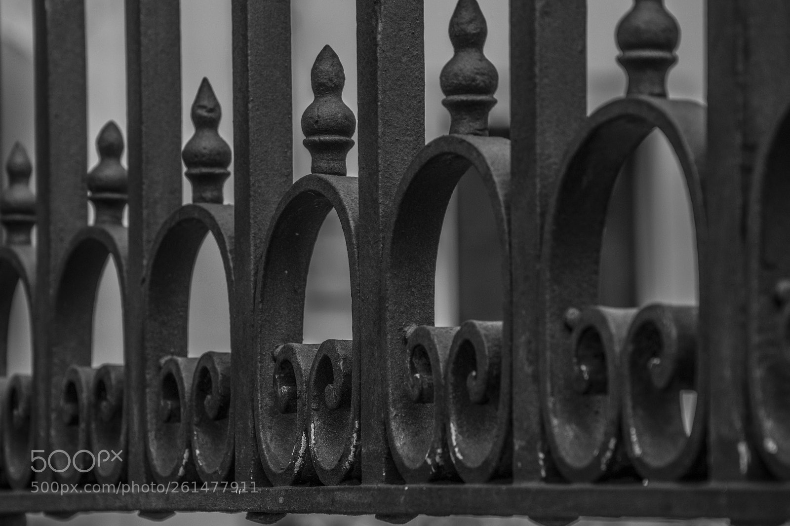 Nikon D3300 sample photo. Fence photography