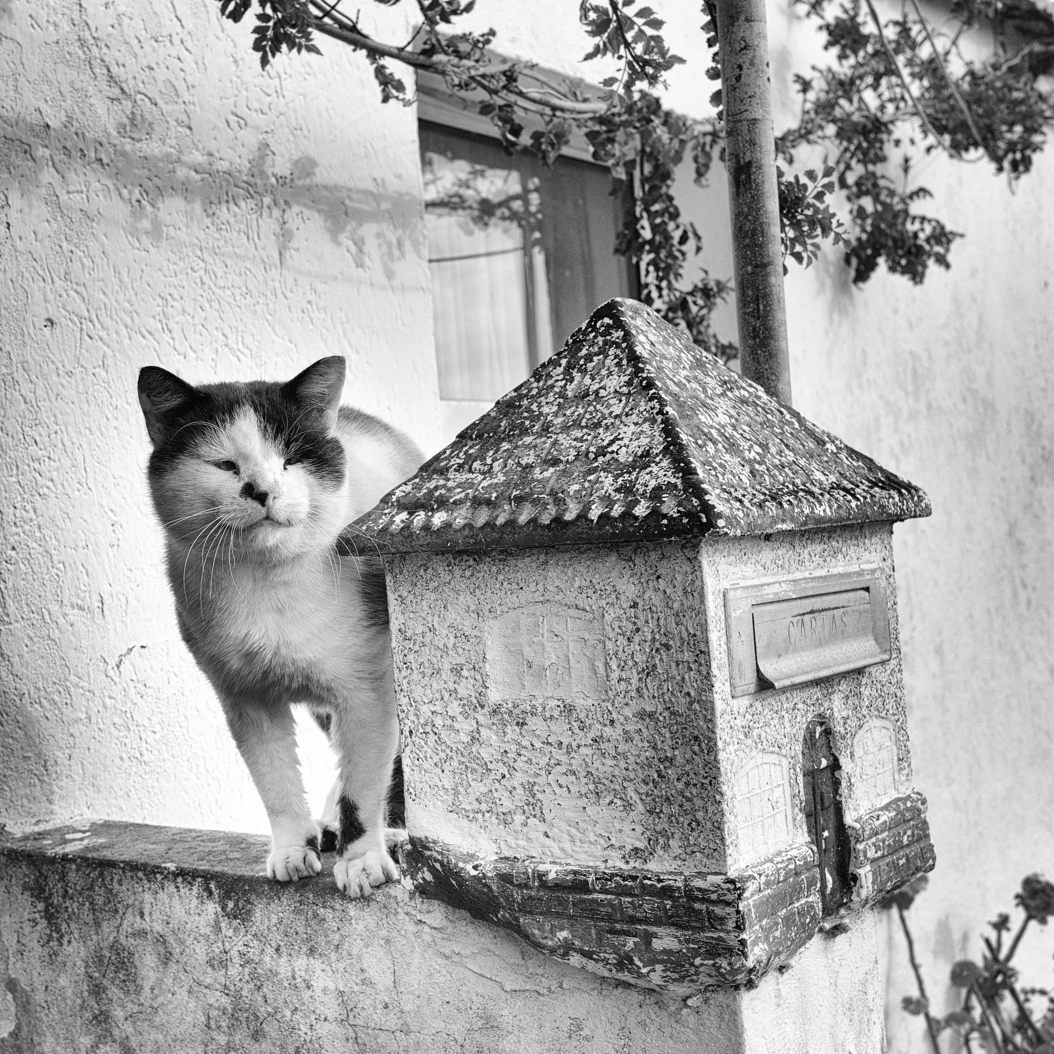 Leica M9 sample photo. Cartas photography