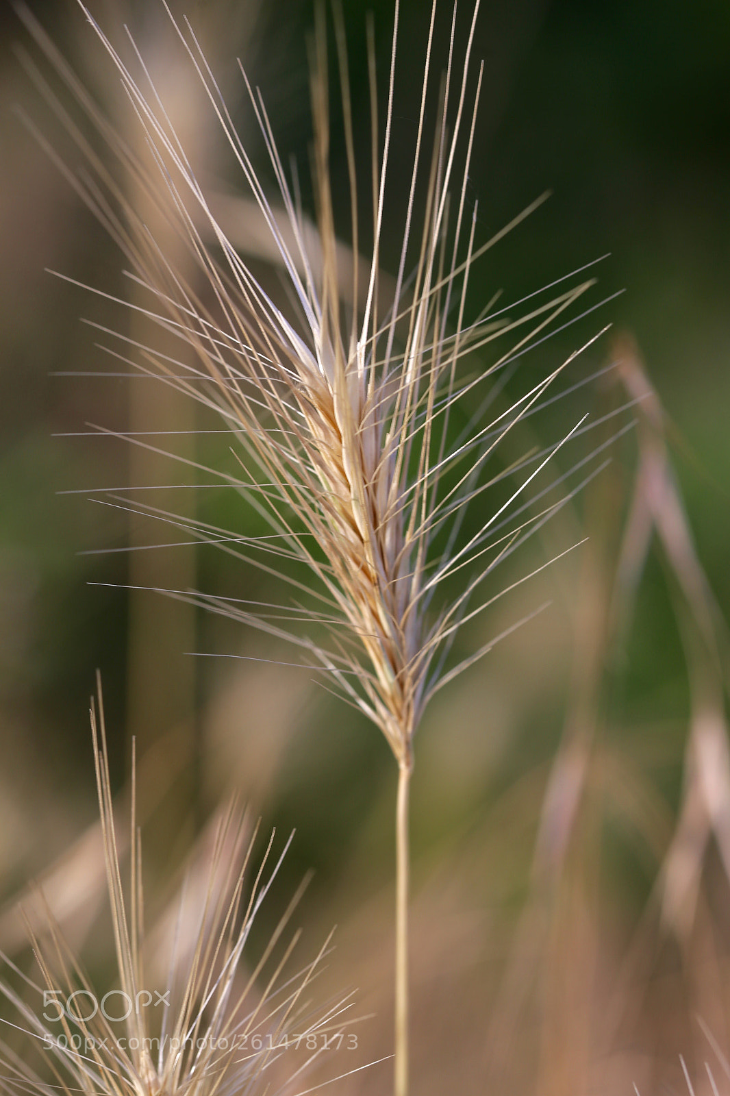 Canon EOS 6D sample photo. Stadtrandsiedlung malchow photography