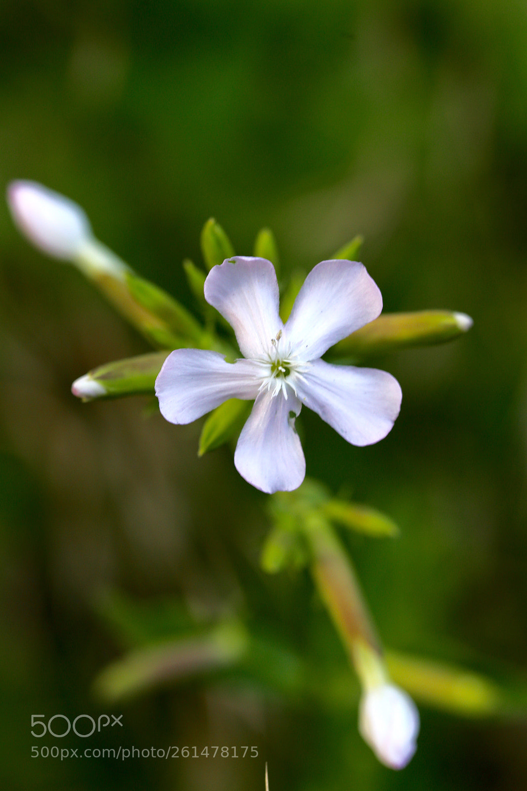 Canon EOS 6D sample photo. Stadtrandsiedlung malchow photography