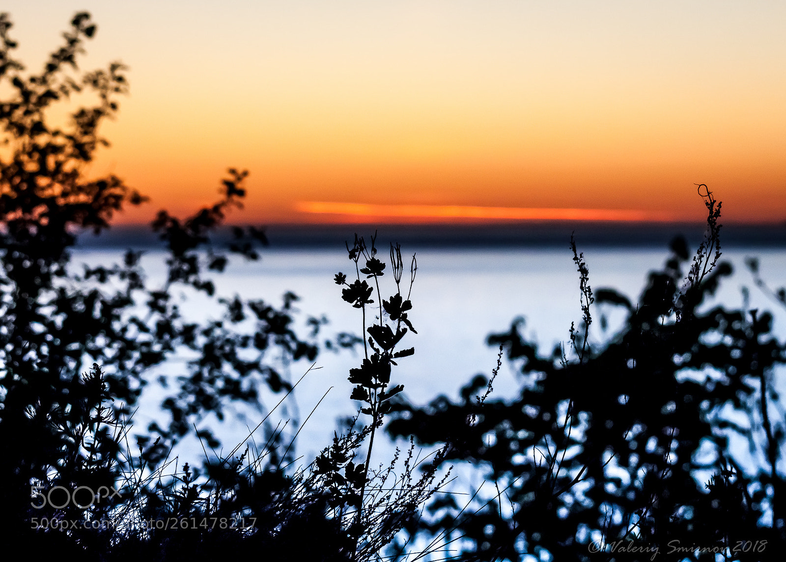 Canon EOS 50D sample photo. Ws photography