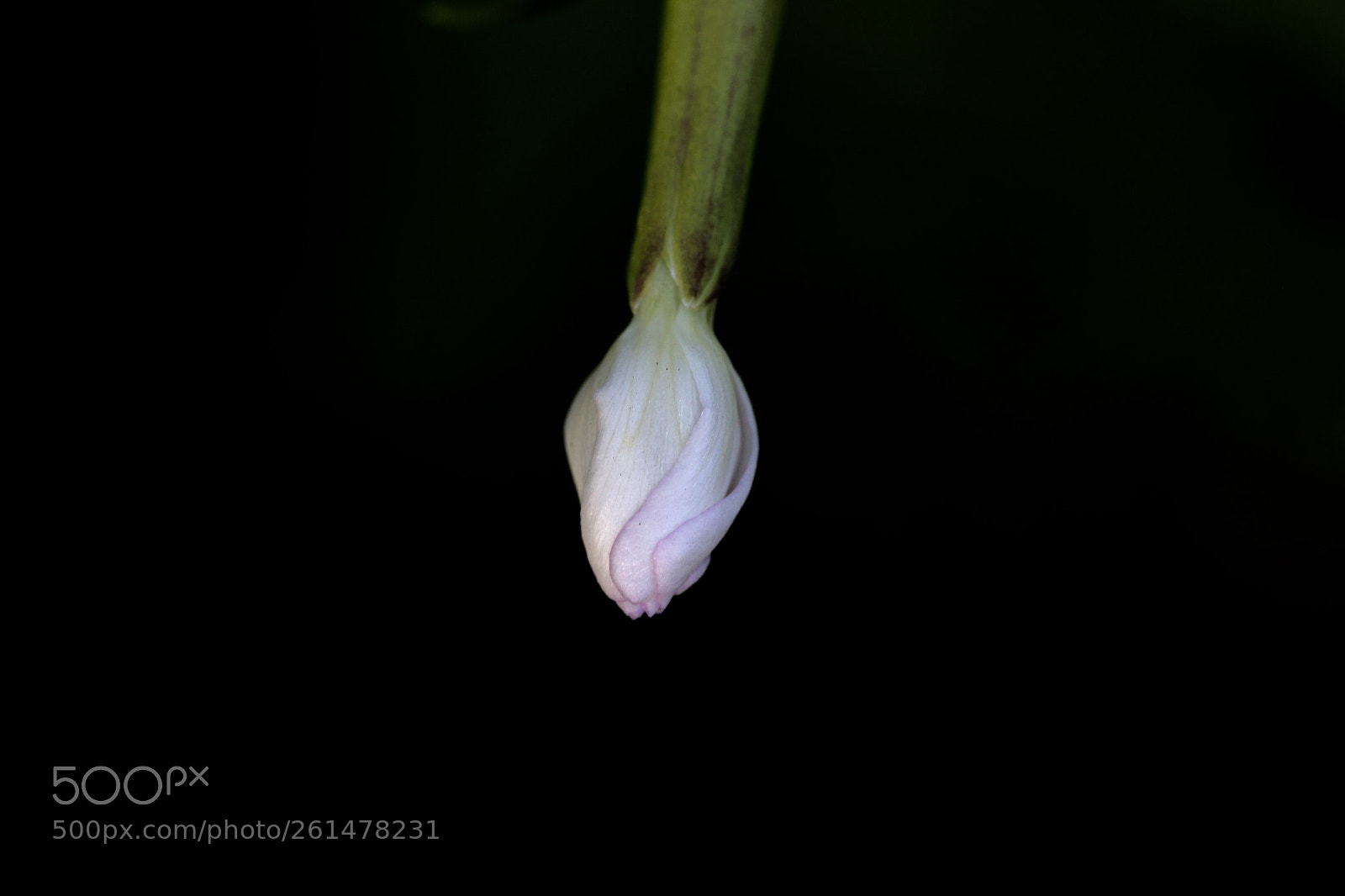 Canon EOS 6D sample photo. Stadtrandsiedlung malchow photography