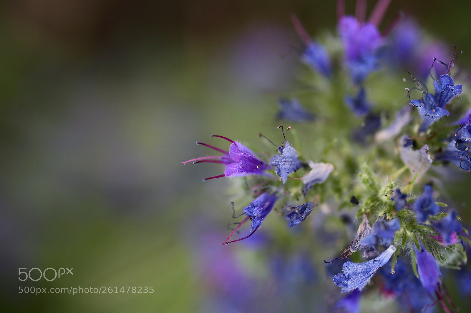 Canon EOS 6D sample photo. Stadtrandsiedlung malchow photography