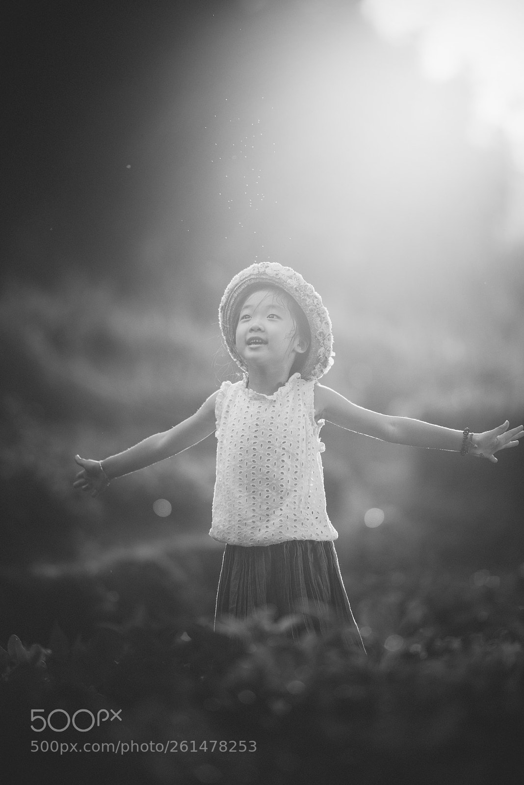 Nikon D810 sample photo. Untitled photography