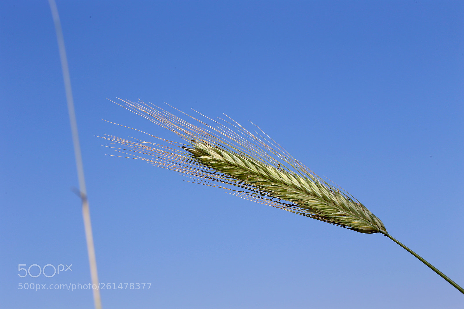 Canon EOS 6D sample photo. Stadtrandsiedlung malchow photography