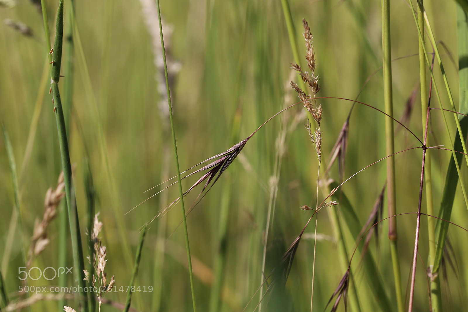 Canon EOS 6D sample photo. Stadtrandsiedlung malchow photography