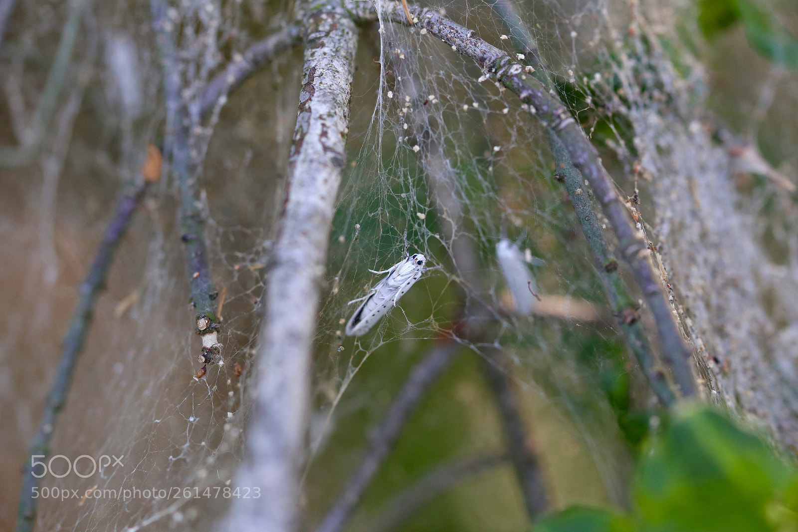 Canon EOS 6D sample photo. Stadtrandsiedlung malchow photography