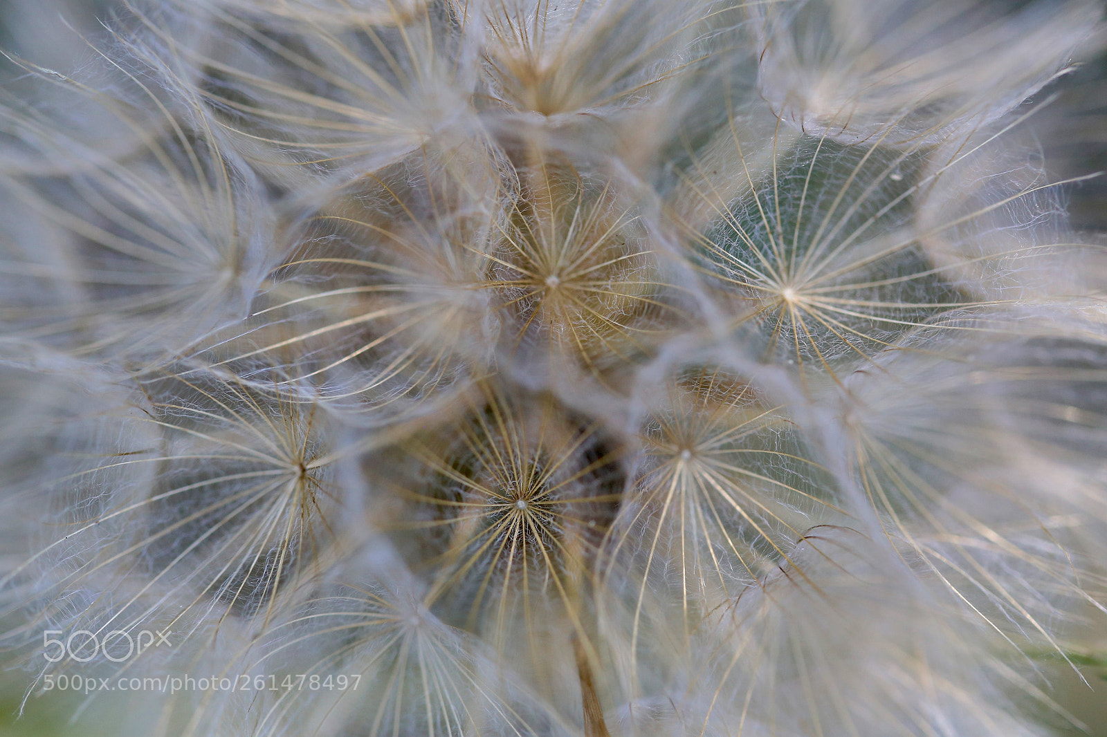 Canon EOS 6D sample photo. Stadtrandsiedlung malchow photography