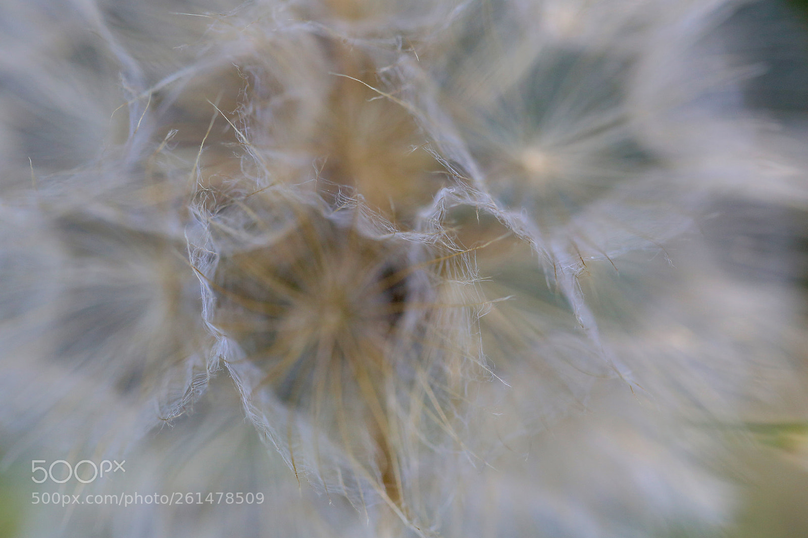 Canon EOS 6D sample photo. Stadtrandsiedlung malchow photography