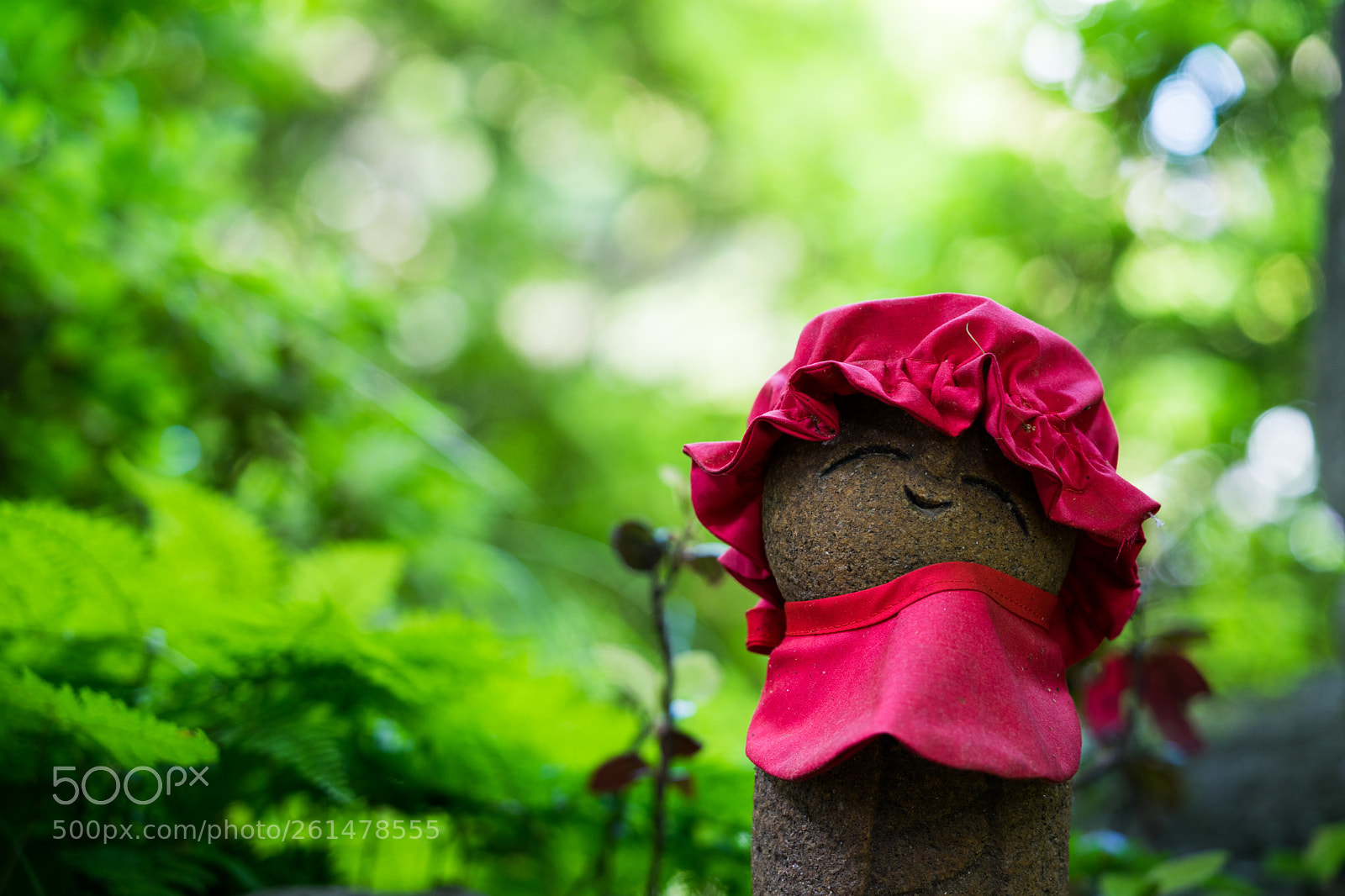 Sony a7 II sample photo. Guardian in green photography
