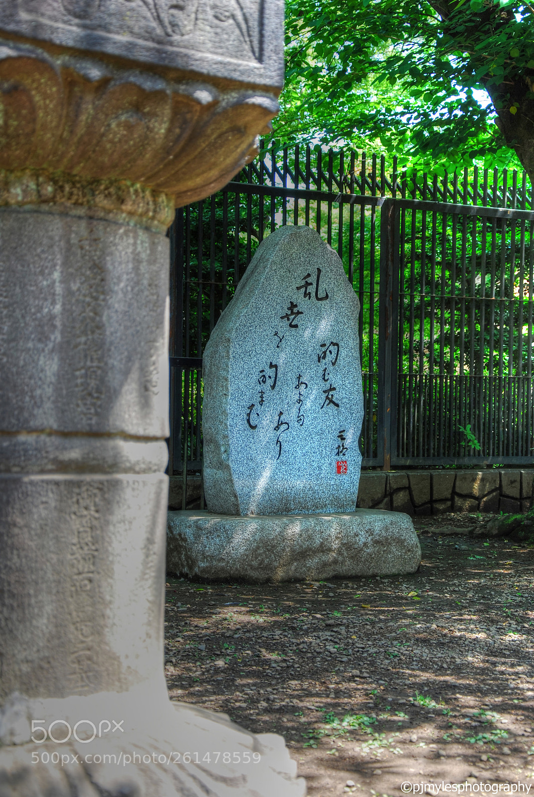 Nikon D80 sample photo. Tokyo, japan 2018 ©pjmylesphotography photography