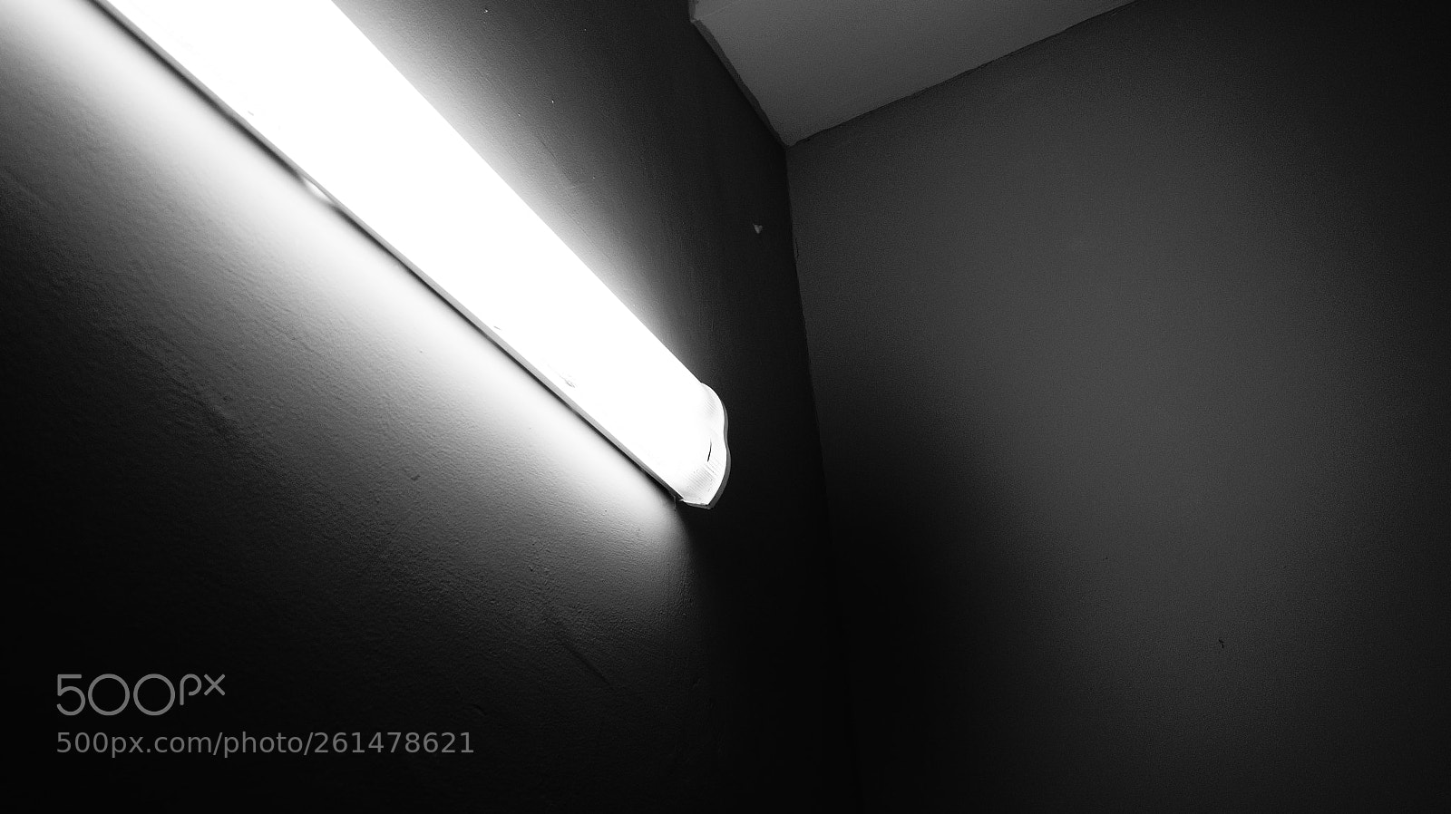 Sony SLT-A58 sample photo. Untitled photography