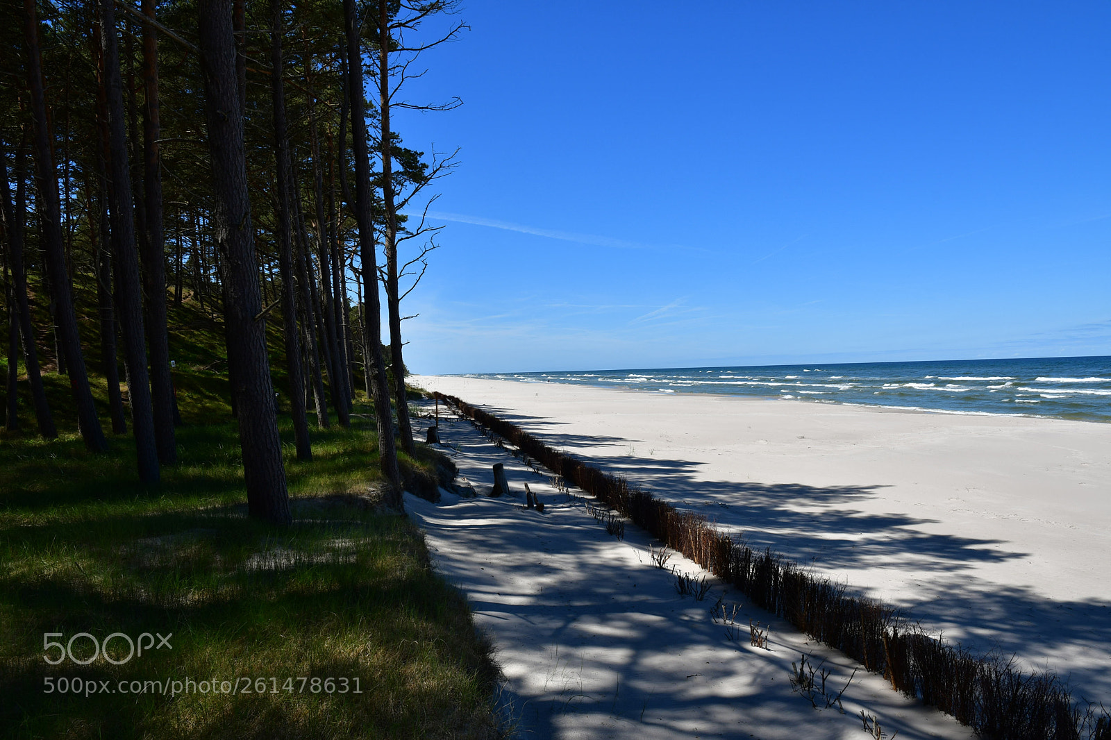 Nikon D500 sample photo. The super beach of photography