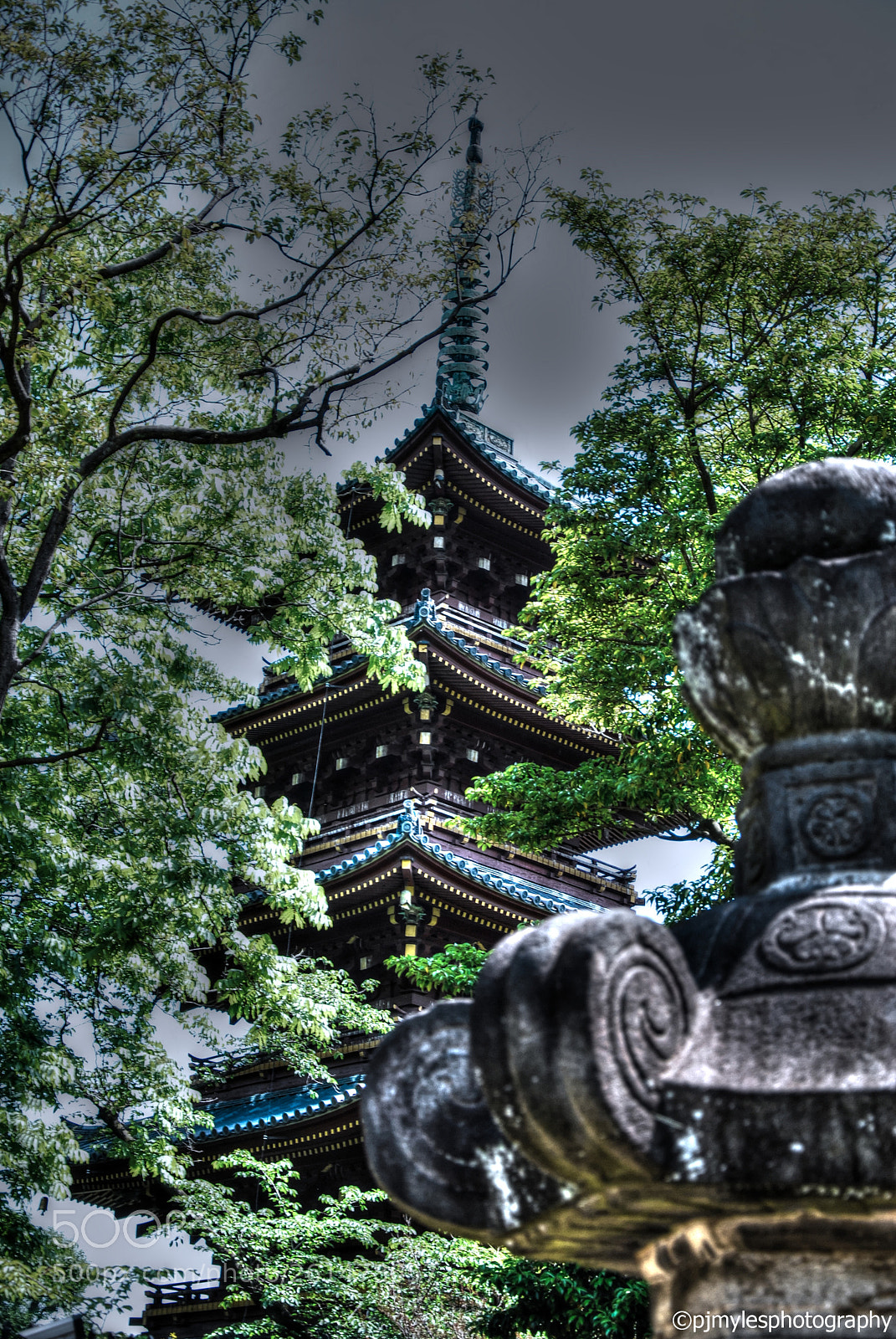 Nikon D80 sample photo. Tokyo, japan 2018 ©pjmylesphotography photography