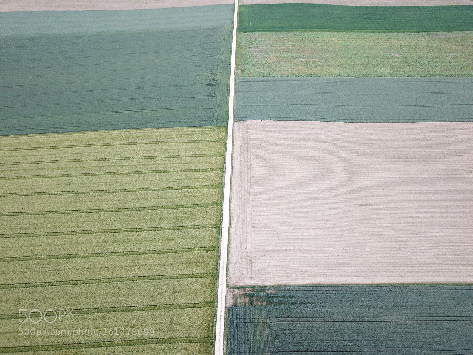 DJI FC220 sample photo. Untitled photography
