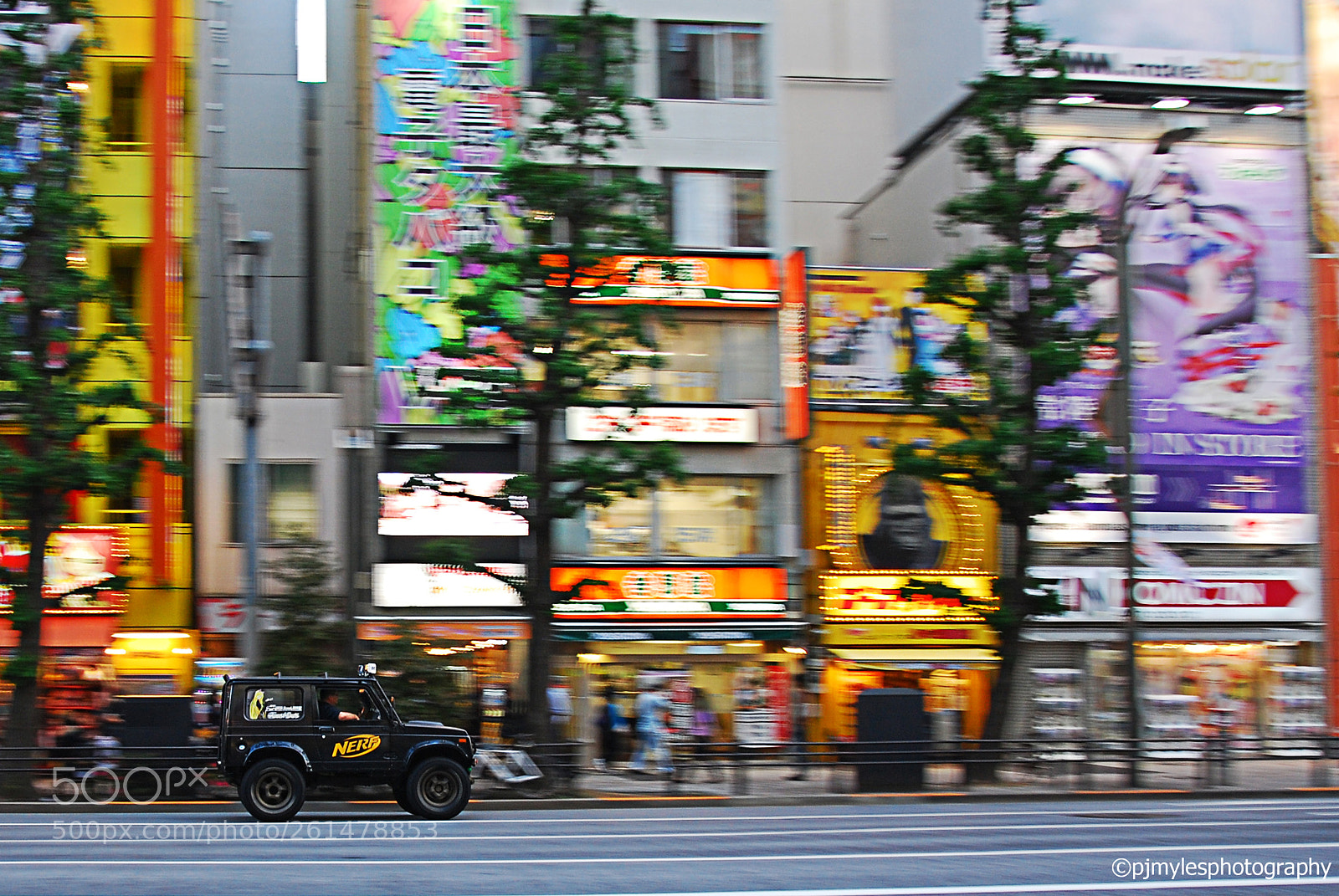 Nikon D80 sample photo. Tokyo, japan 2018 ©pjmylesphotography photography