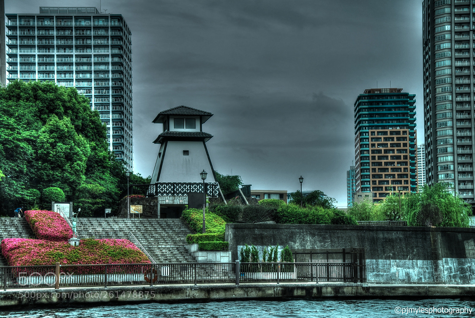 Nikon D80 sample photo. Tokyo, japan 2018 ©pjmylesphotography photography