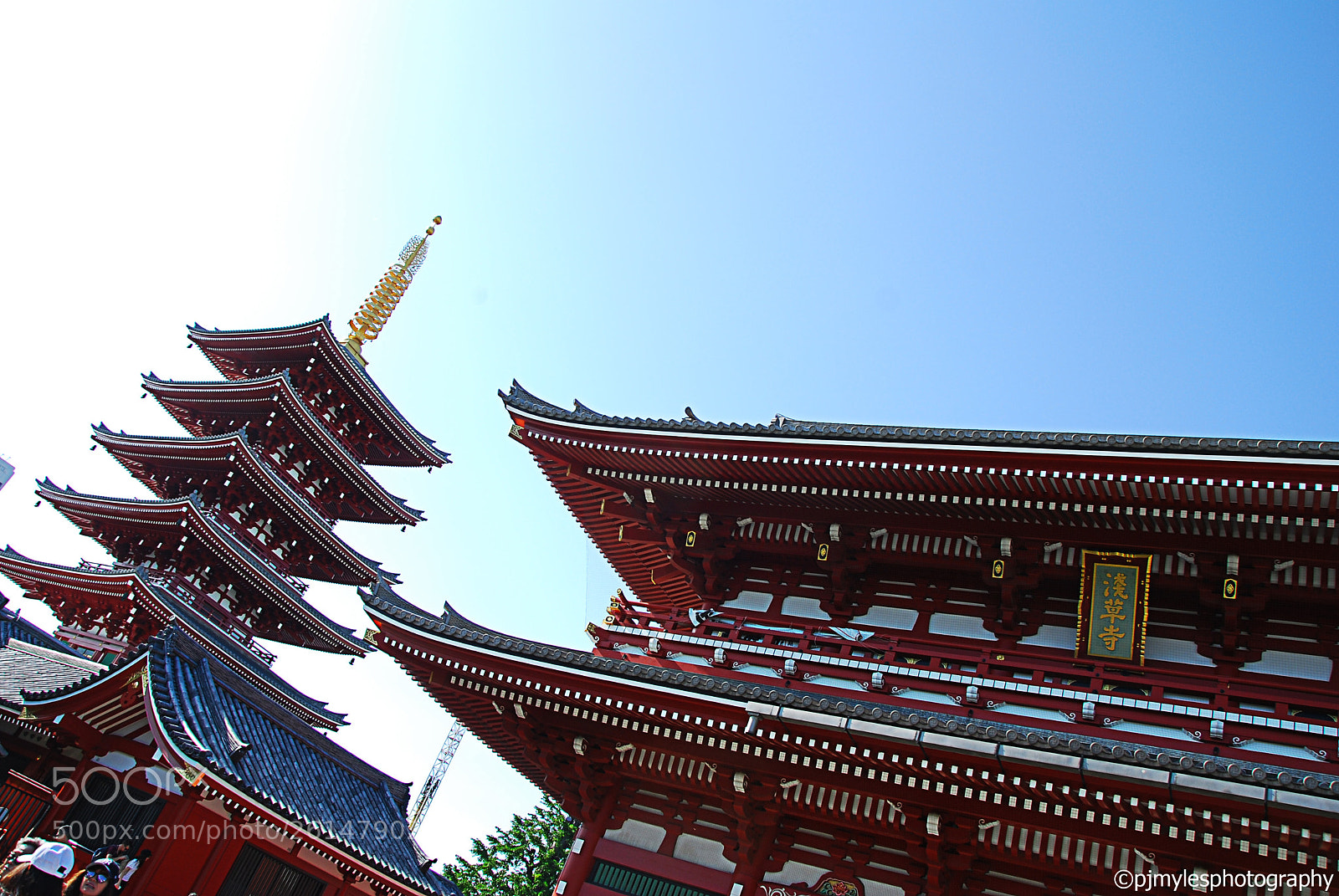 Nikon D80 sample photo. Tokyo, japan 2018 ©pjmylesphotography photography
