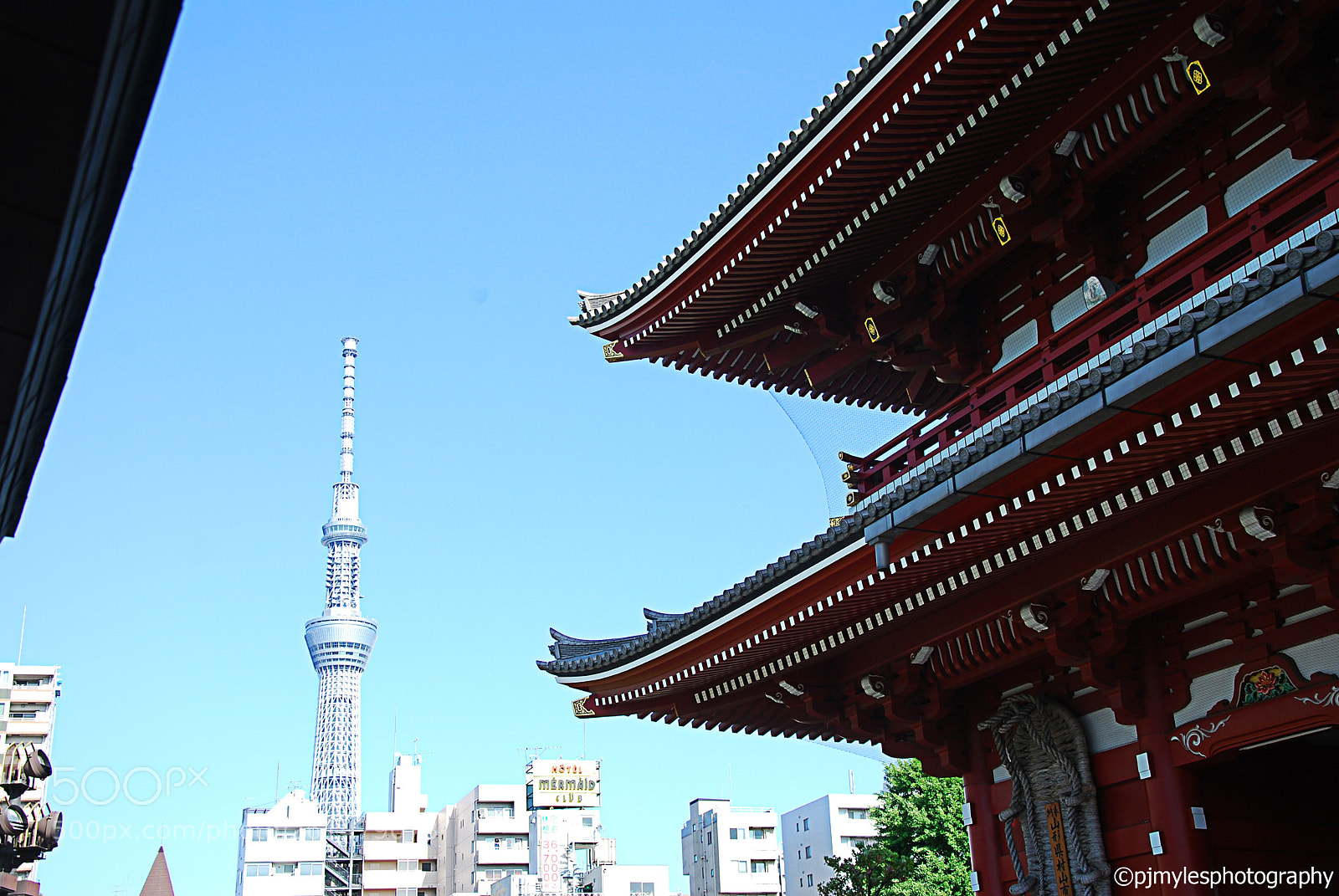 Nikon D80 sample photo. Tokyo, japan 2018 ©pjmylesphotography photography