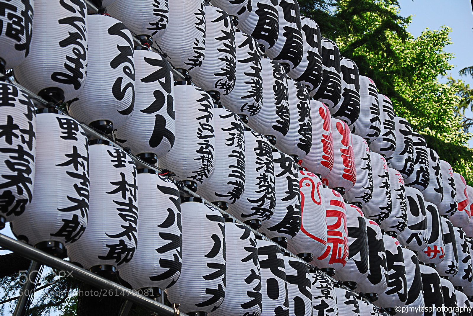 Nikon D80 sample photo. Tokyo, japan 2018 ©pjmylesphotography photography
