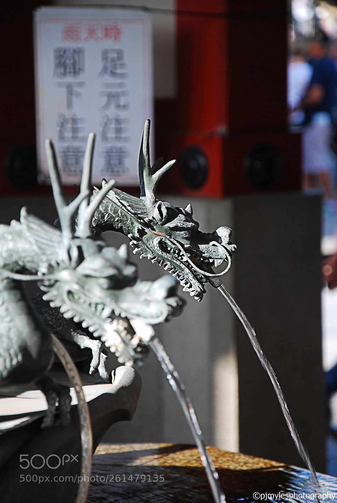 Nikon D80 sample photo. Tokyo, japan 2018 ©pjmylesphotography photography