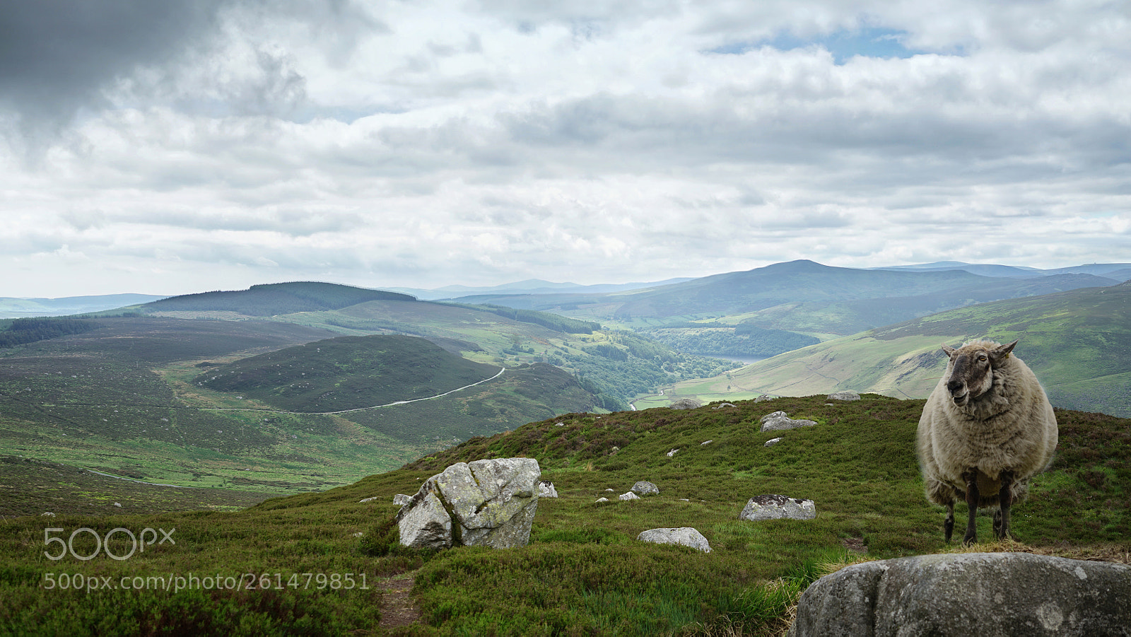 Sony a7 II sample photo. Baaatiful view photography