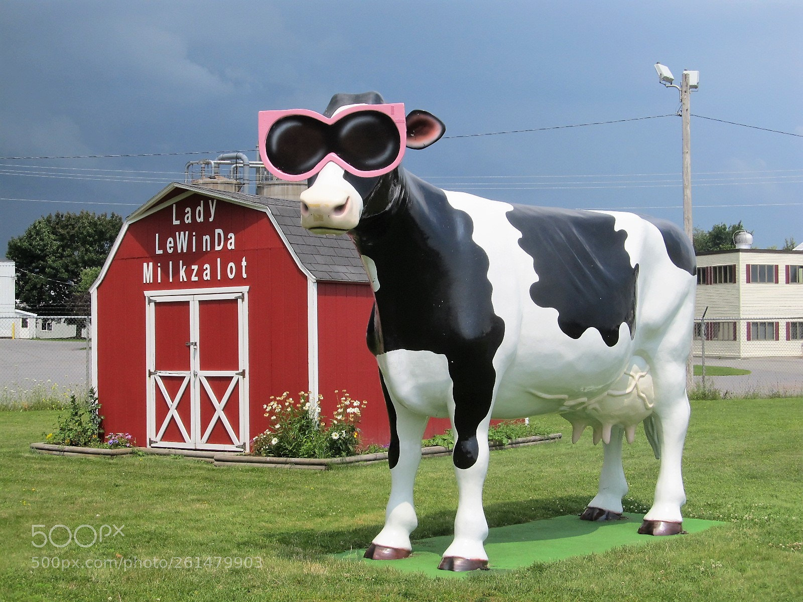 Canon PowerShot SX130 IS sample photo. Lowville cow photography