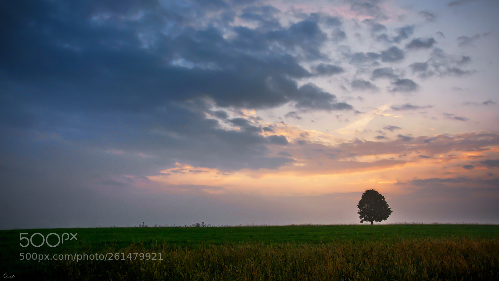 Nikon D7100 sample photo. Solitaire photography