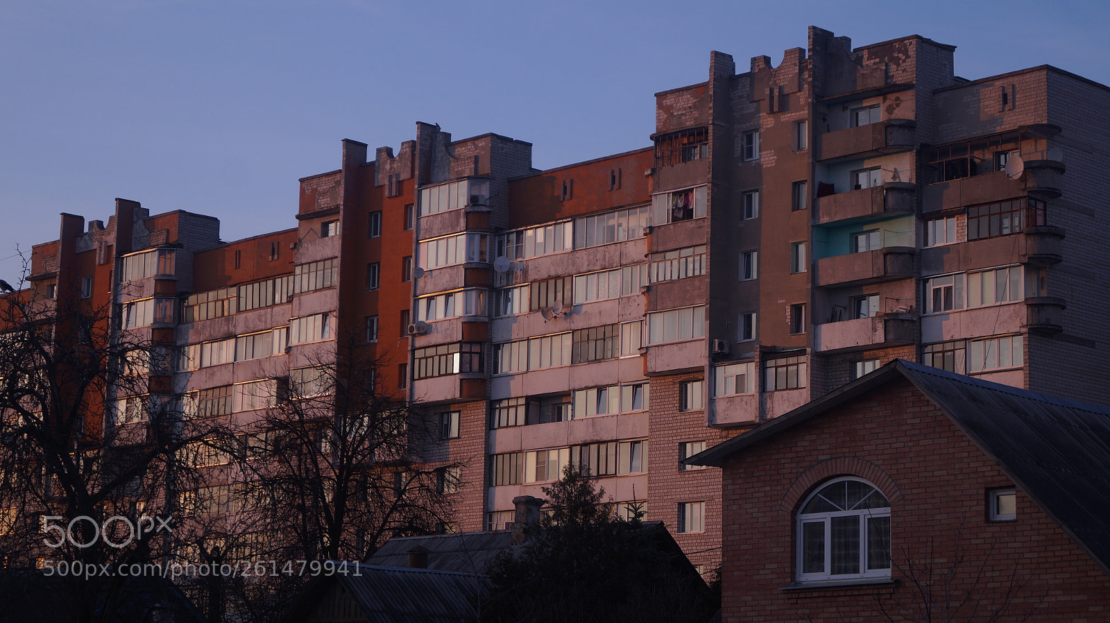 Sony SLT-A58 sample photo. Untitled photography