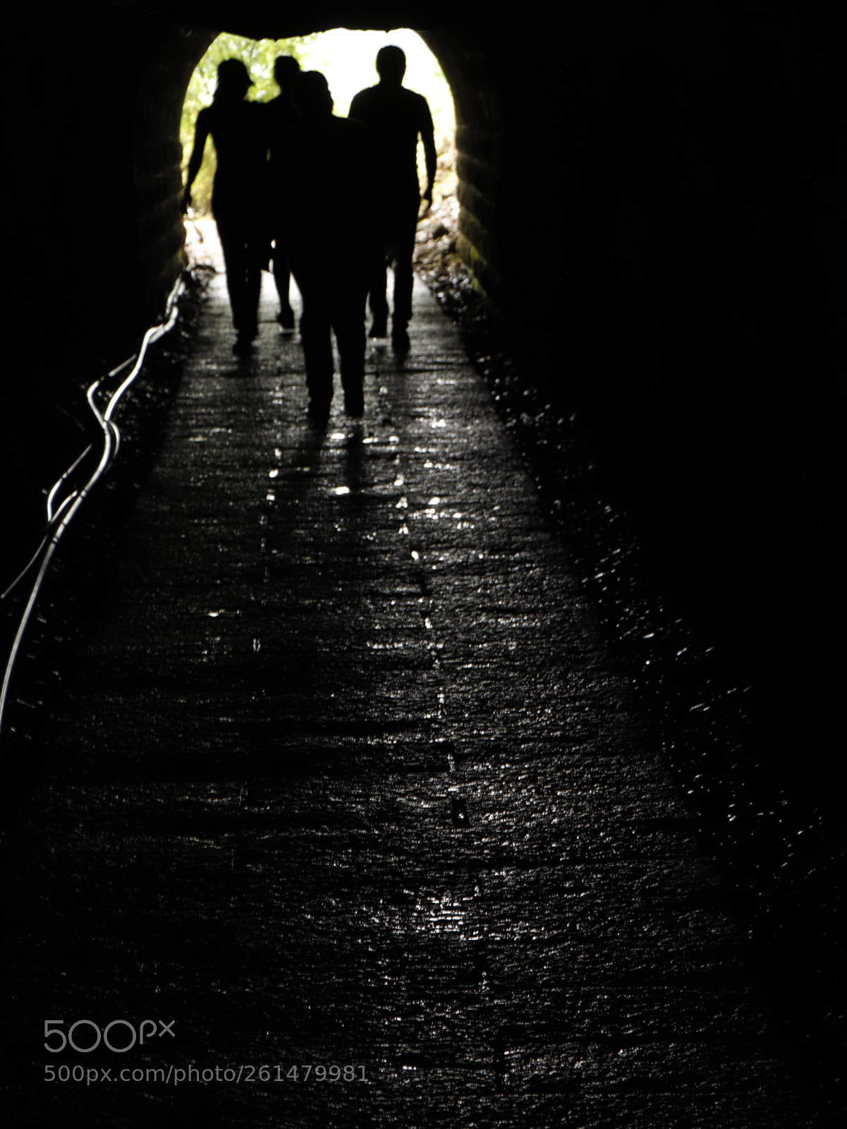 Canon EOS 77D (EOS 9000D / EOS 770D) sample photo. The tunnel  photography