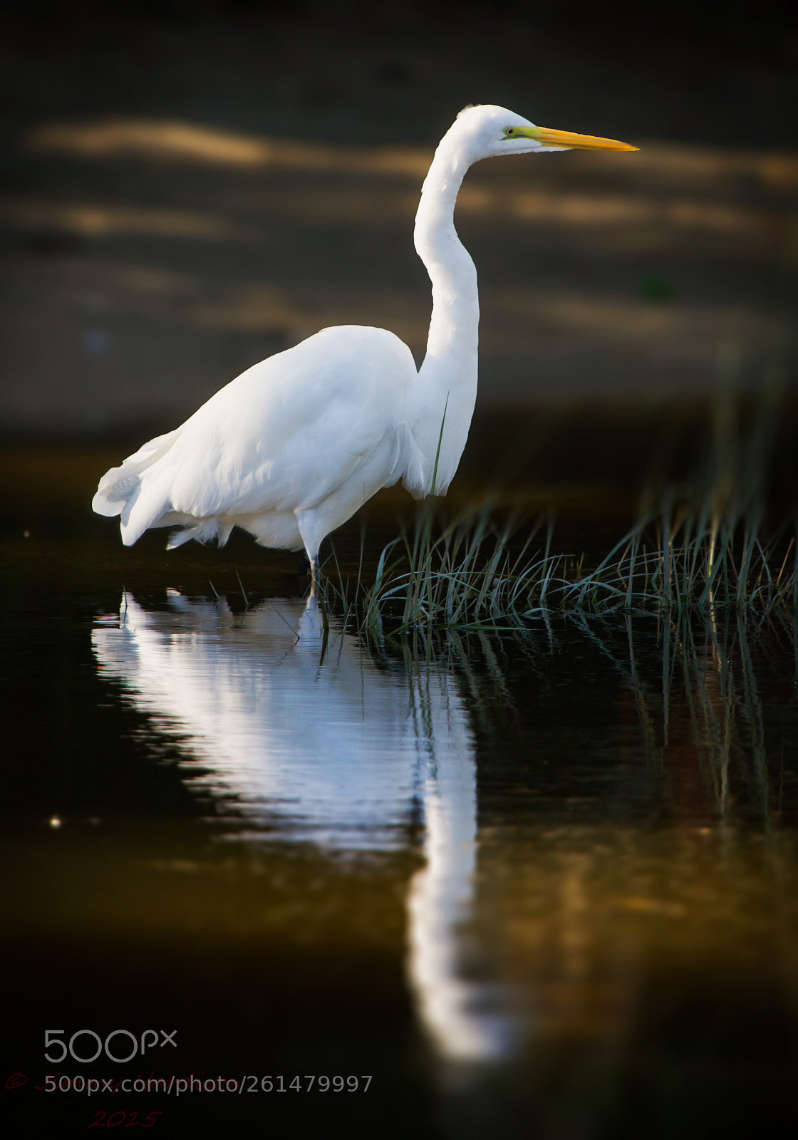 Canon EOS 7D sample photo. Reflecting photography