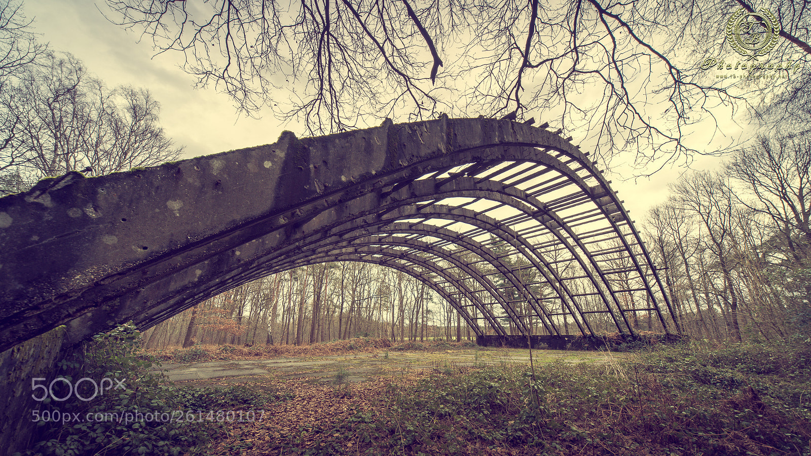 Nikon D800 sample photo. Flugzeughalle photography