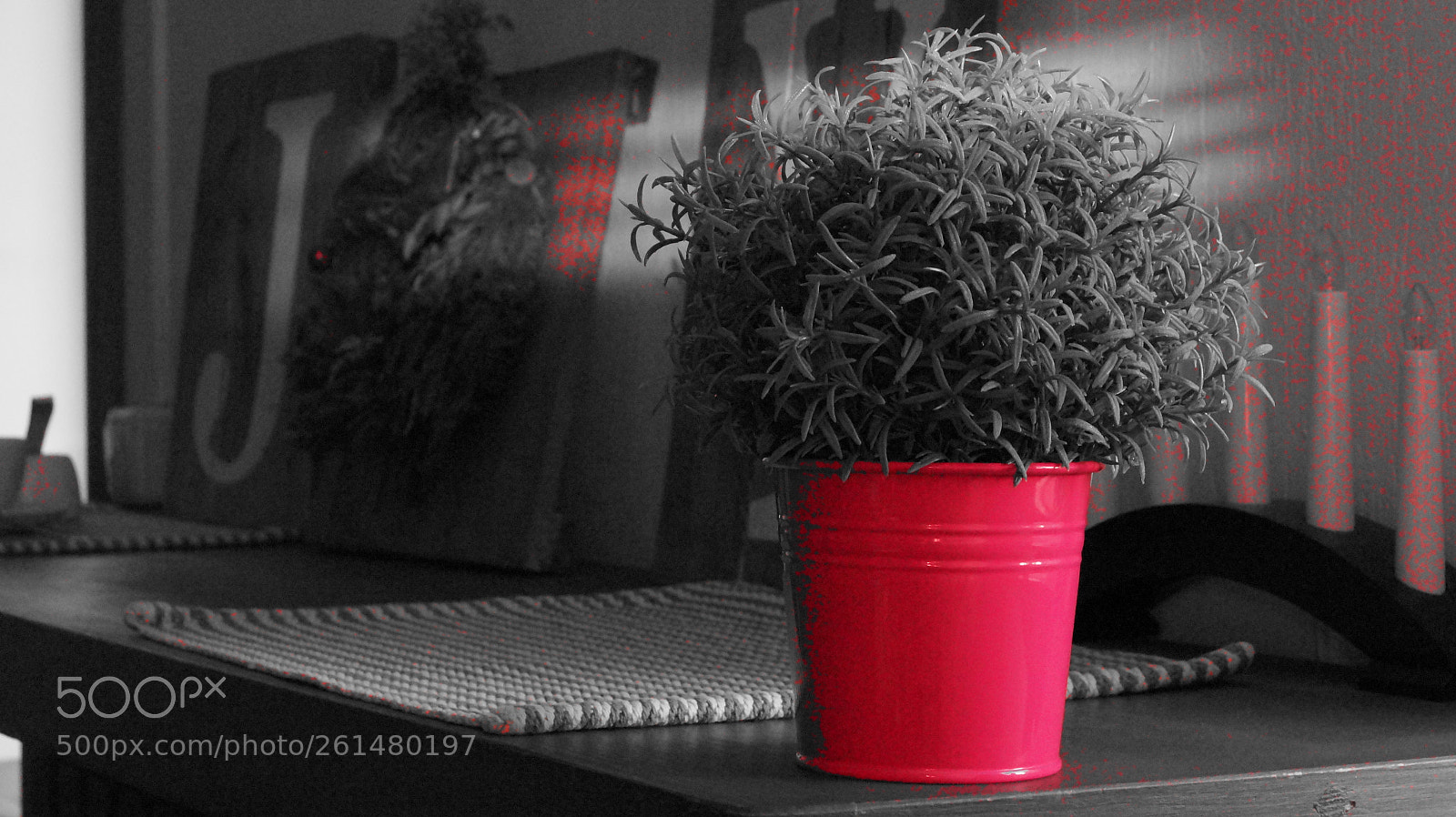 Sony SLT-A58 sample photo. Untitled photography