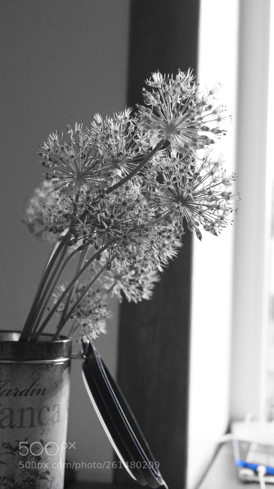 Sony SLT-A58 sample photo. Untitled photography