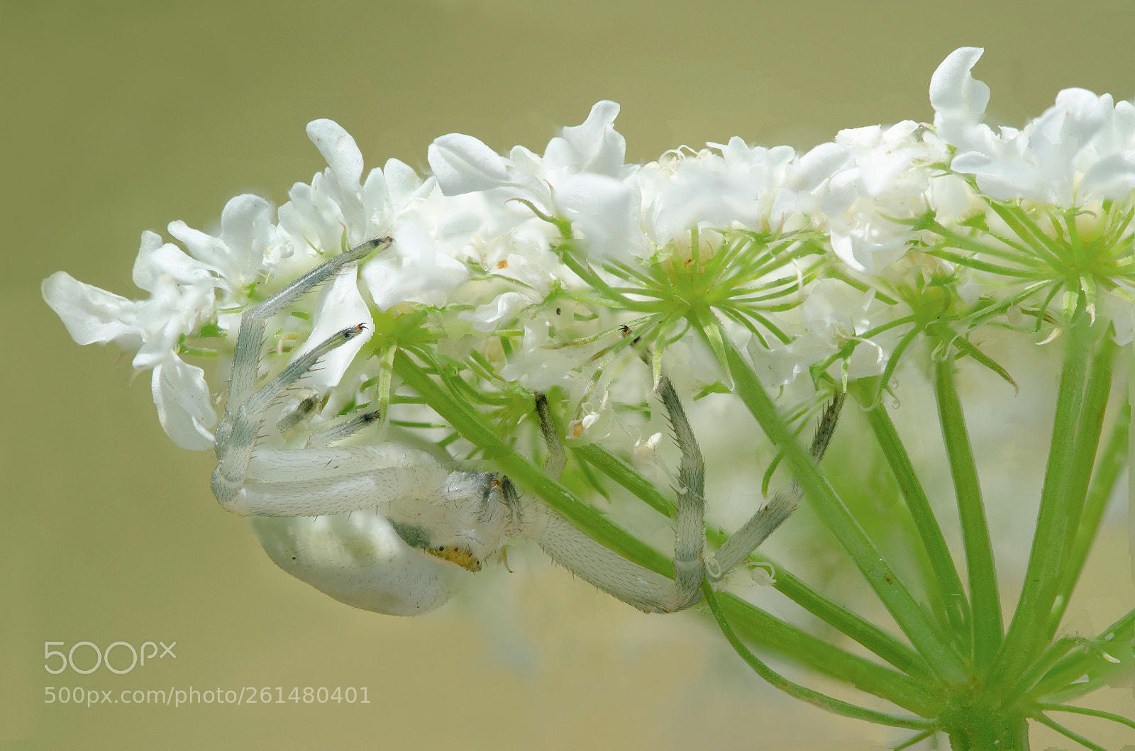 Nikon D7000 sample photo. 09062018_1-2.jpg photography