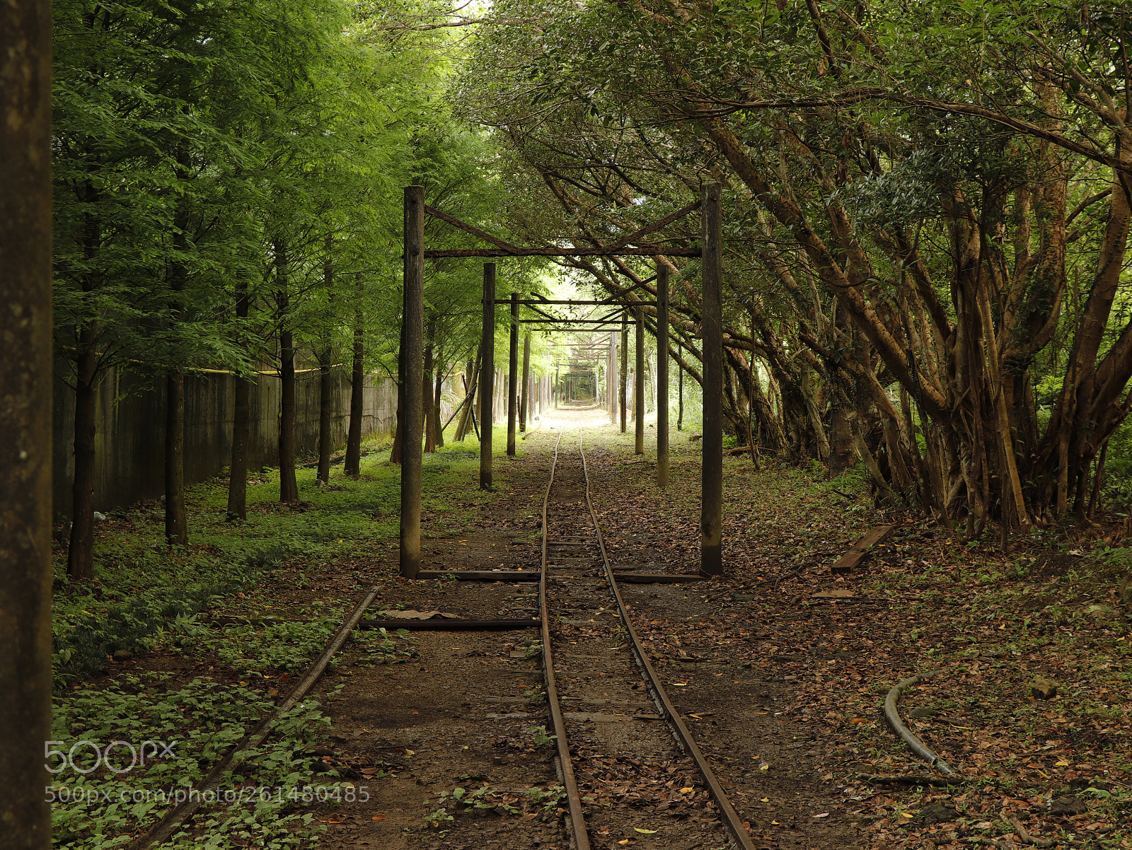 Canon EOS 77D (EOS 9000D / EOS 770D) sample photo. The old railway  photography
