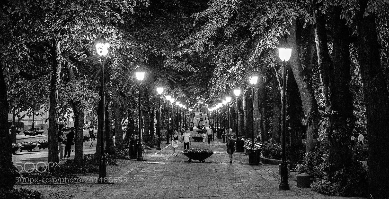 Fujifilm X-T2 sample photo. Alley for nighthawks photography