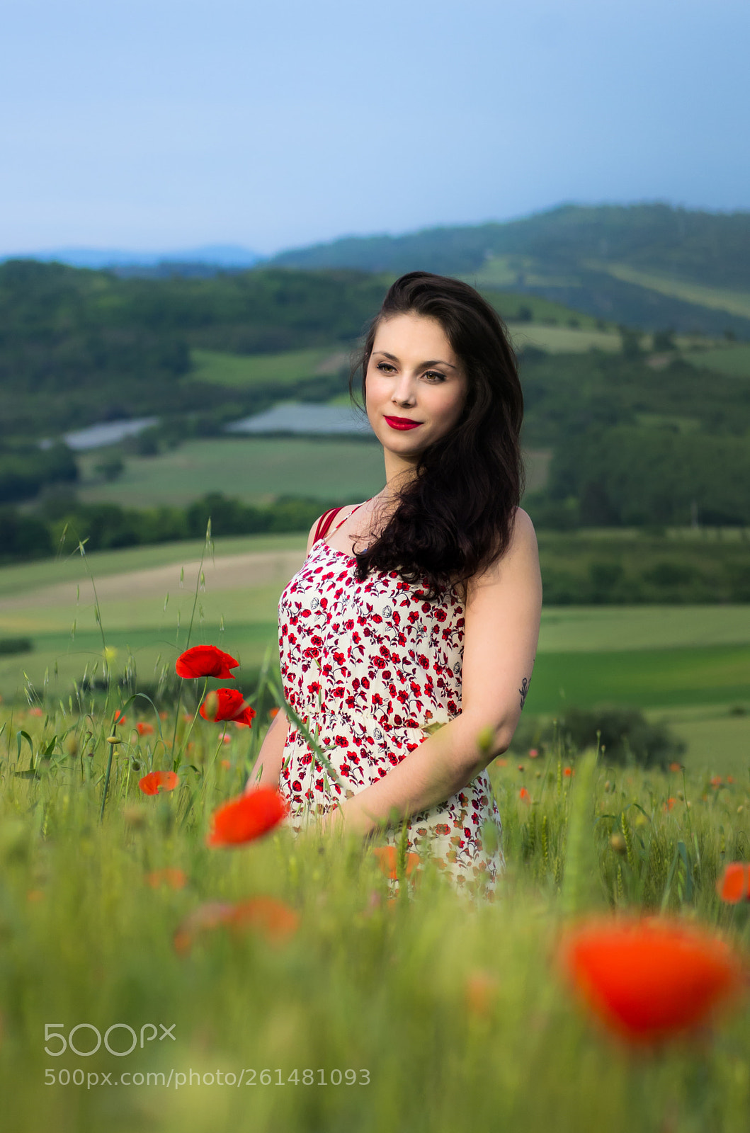 Pentax K-5 sample photo. In a field of photography