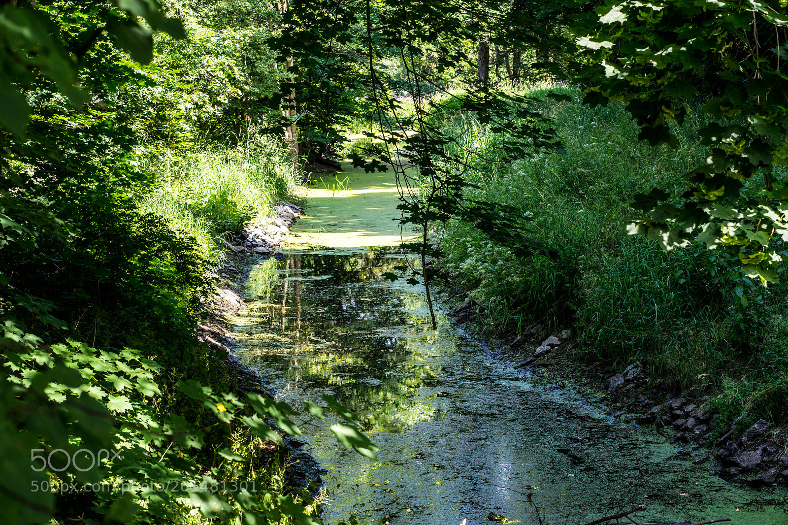 Sony a7 II sample photo. Brandenburg trocknet aus photography