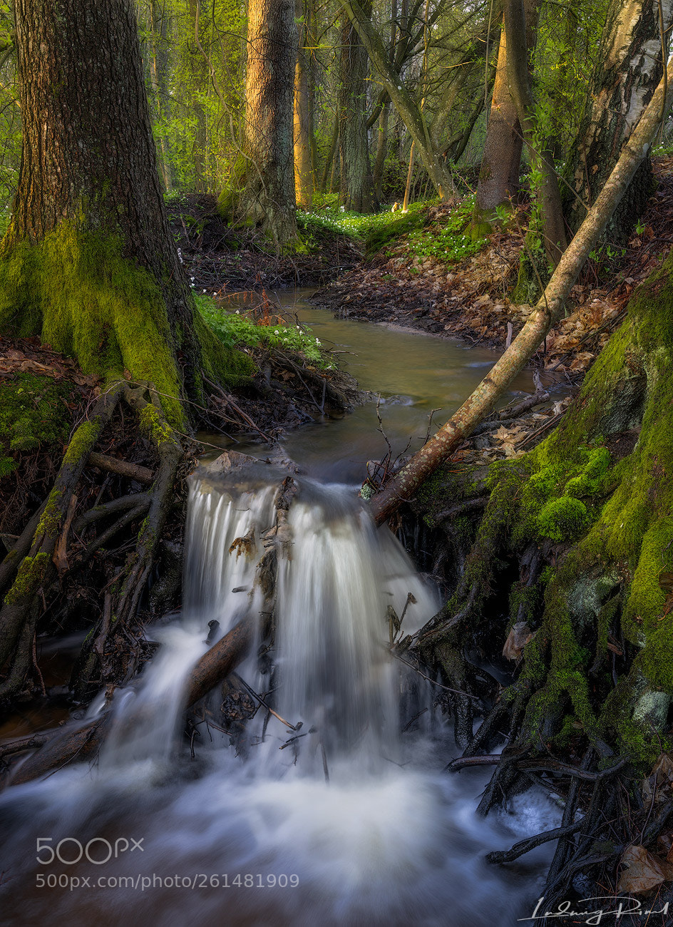 Sony a7R II sample photo. Fairy tales photography