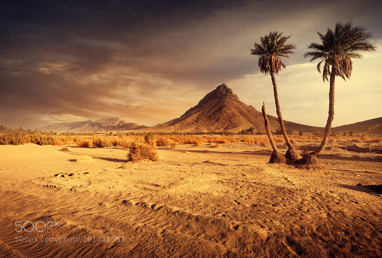 Canon EOS 5D Mark II sample photo. Zagora, morocco photography