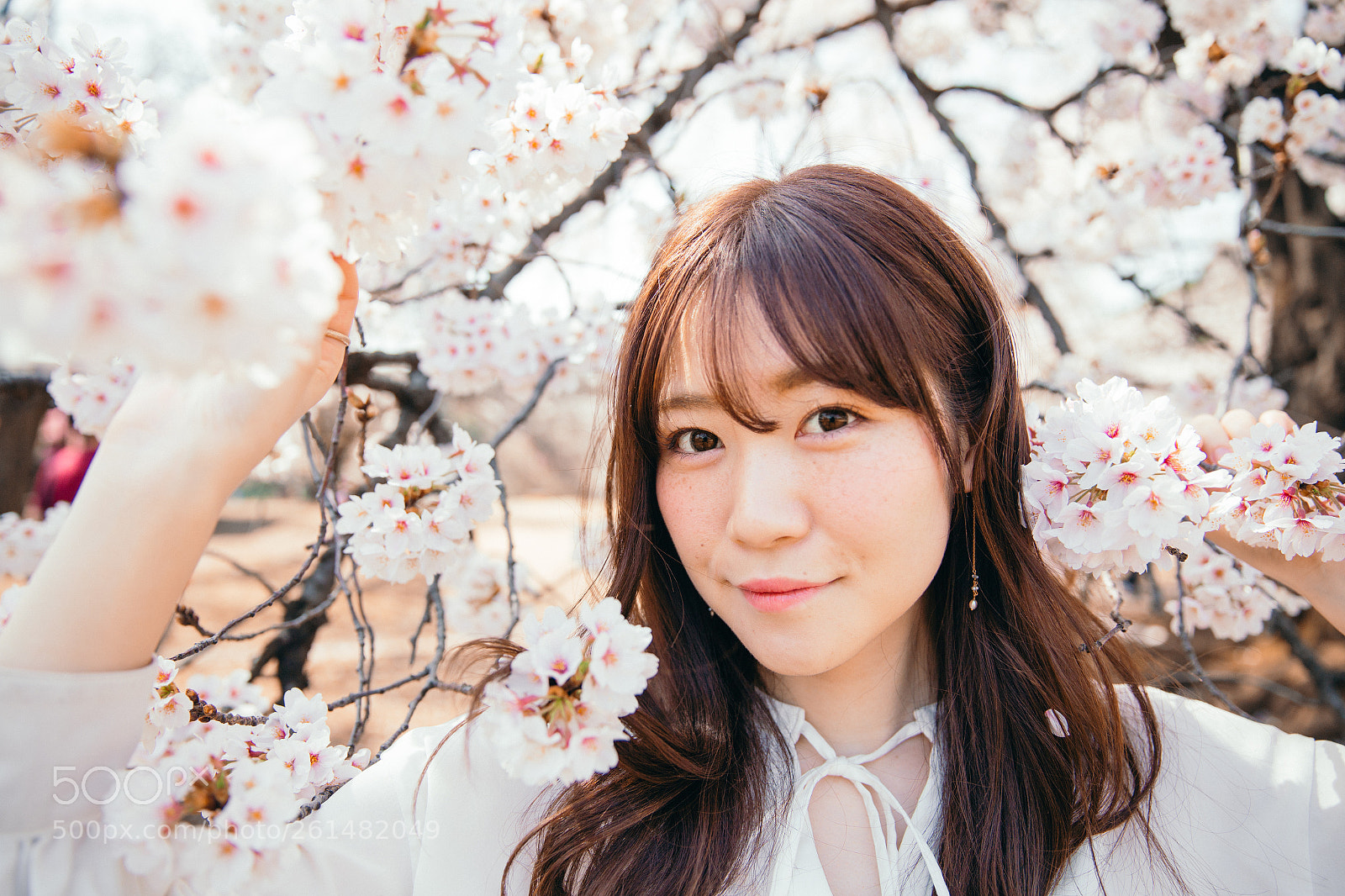 Canon EOS 6D sample photo. Photography plan with japanese photography