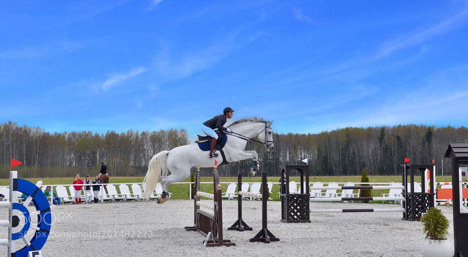 Nikon D90 sample photo. Horse jumping photography