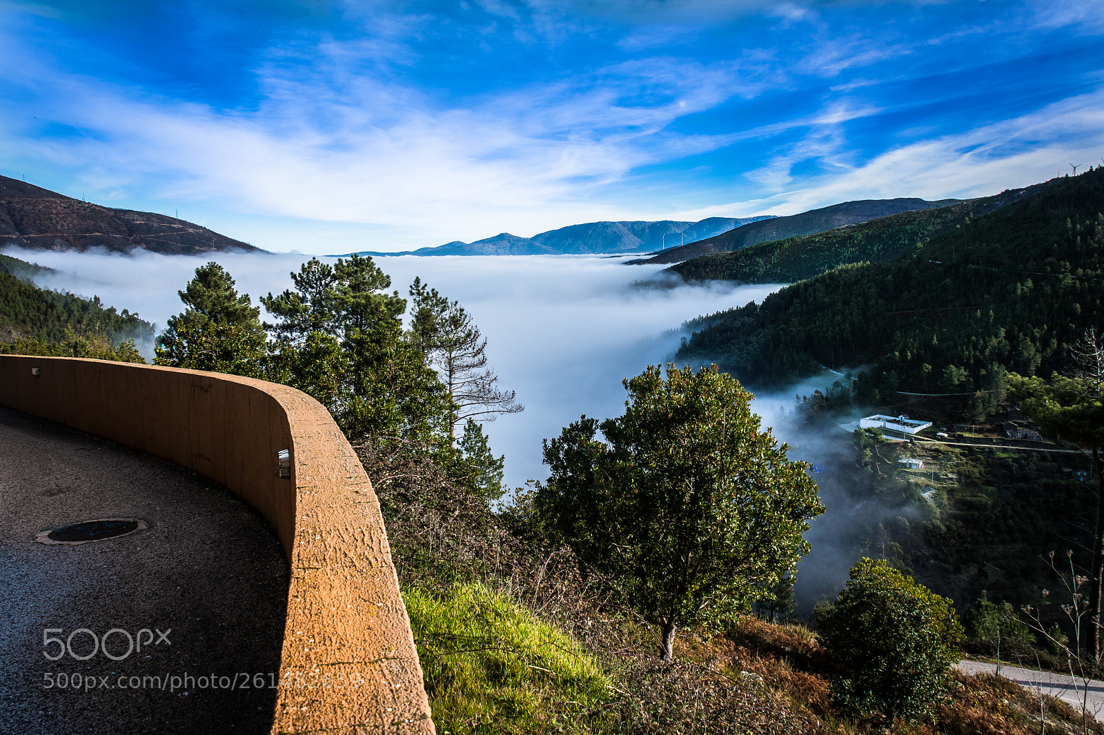 Nikon D500 sample photo. Mist beyond the curve photography