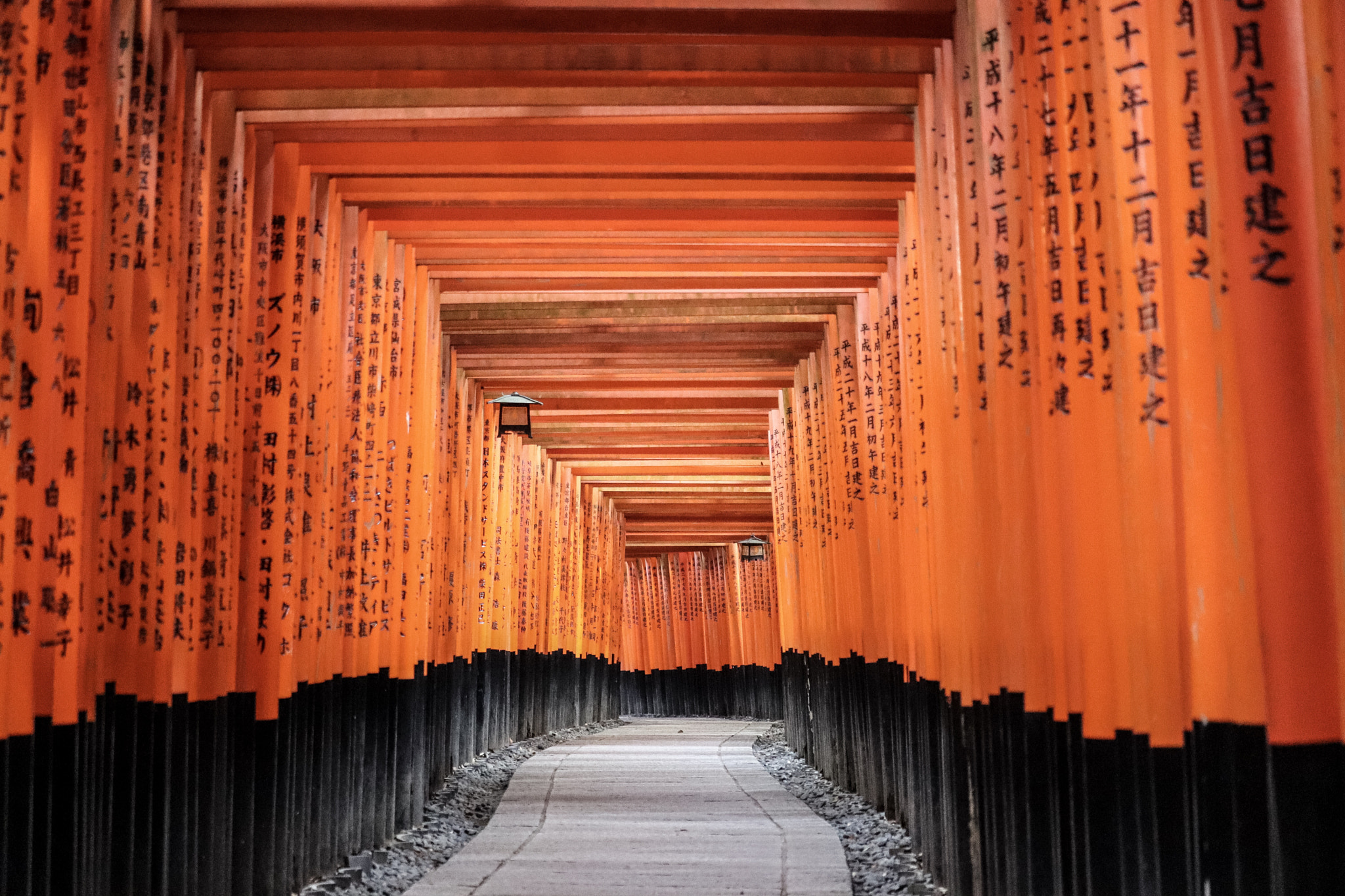 Canon EOS 800D (EOS Rebel T7i / EOS Kiss X9i) sample photo. Torii photography