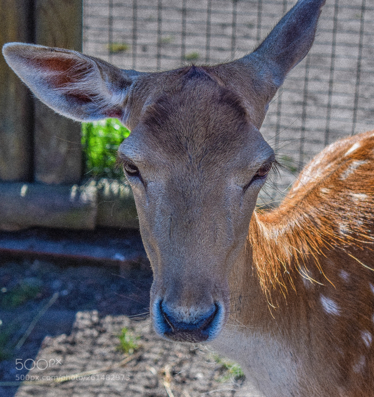 Nikon D5300 sample photo. Chil photography